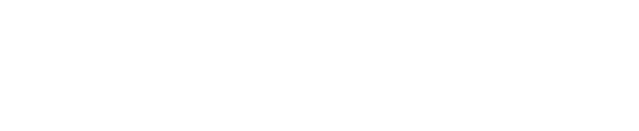 e-VOLK